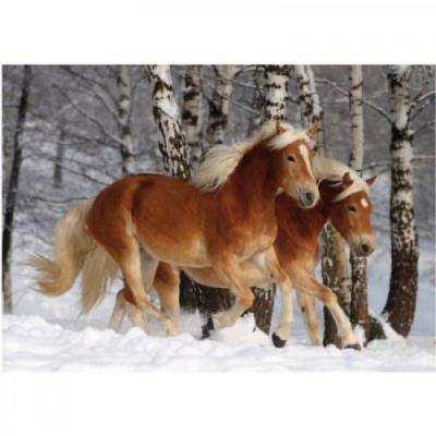 DTOYS Puzzle Sp&eacute;cial / Difficile : Cheval Haflinger n&deg;3 