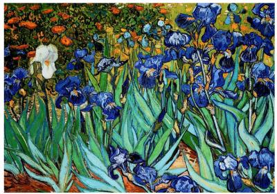  EuroGraphics Iris par Vincent Van Gogh Puzzle (1000&nbsp;pi&egrave;ces)
