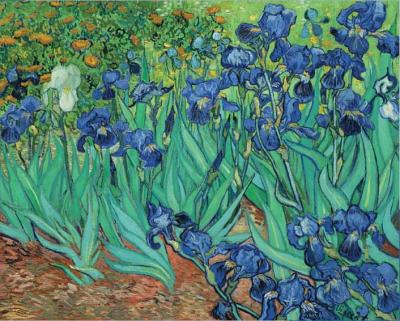  Van Gogh Irises 1 000Piece Jigsaw Puzzle by NA Professor of Radiology & Stanford University & School of Medicine & Stanford & CA 