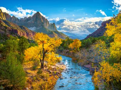CASTORLAND Puzzle Zion National Park en Automne, USA 