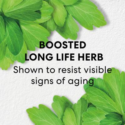 BAREMINERALS  Skinlongevity Long Life Herb Night Treatment 50ml