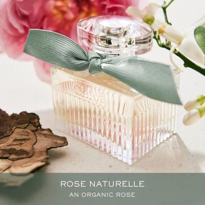 CHLOE Chlo&eacute; Chlo&eacute; Eau de Parfum 30ml