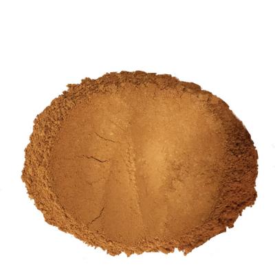 LILY LOLO Fond de teint mineral poudre libre SPF15 Hot Chocolate 