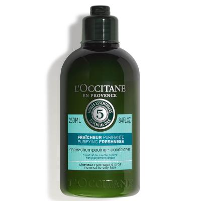 L OCCITANE EN PROVENCE Apr&egrave;s-Shampoing Fraicheur Purifiante 250ml - L'Occitane en Provence