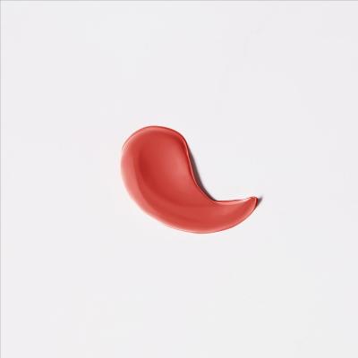 L OREAL L'Or&eacute;al Les Macarons Rouge &agrave; L&egrave;vres Liquide Mat 834 Infinite Spice 1pc