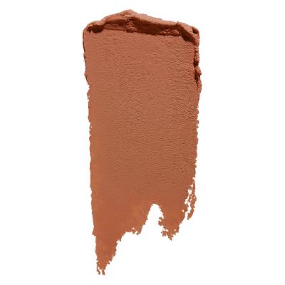 SHISEIDO SYNCHRO SKIN gelstick concealer #401