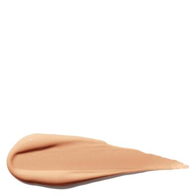 SHISEIDO SYNCHRO SKIN self refreshing dual tip concealer #302