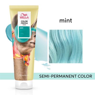 WELLA PROFESSIONALS CARE Wella - Color Fresh Mask Fun #mint Cr&eacute;me capillaire 150 ml