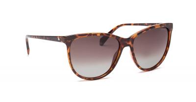 POLAROID  Femme Pld 4066/S Sunglasses, 086/la Havana, 57 EU