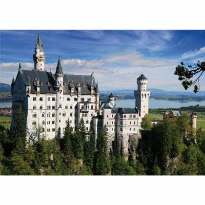 DTOYS Unbekannt Puzzle Inconnu 500 pi&egrave;ces &ndash; Allemagne : Serrure Neuschwanstein