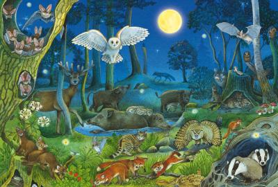 SCHMIDT SPIELE  Puzzle animaux de la for&ecirc;t - 100 pi&egrave;ces