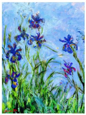 EUROGRAPHICS  Iris par Claude Monet Puzzle (1000&nbsp;pi&egrave;ces)