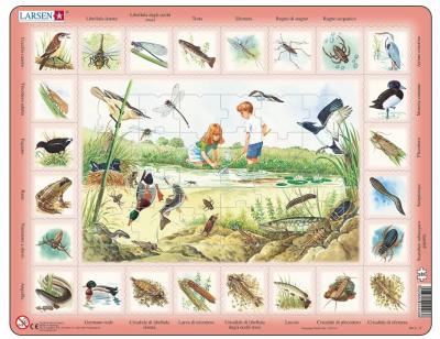 LARSEN Puzzle Cadre - Animaux du Lac (en Italien) 