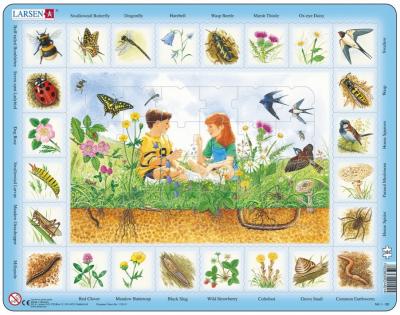 LARSEN Puzzle Cadre - Apprendre l'Anglais : Dans le Pr&eacute; (en Anglais)