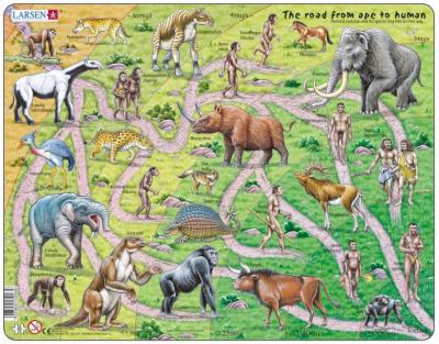LARSEN Puzzle Cadre - The Road From Ape to Human (en Anglais) 