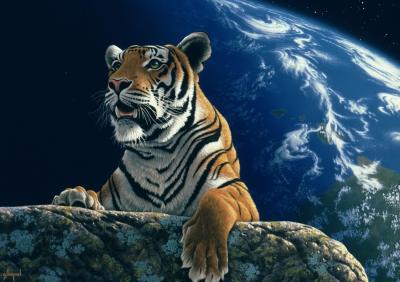 GRAFIKA  Puzzle 1500 pi&egrave;ces - Schim Schimmel - Only One Home