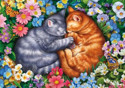 SCHMIDT SPIELE Puzzle - - Sommeil aux pattes de velours - 1000 pieces - Des 12 ans