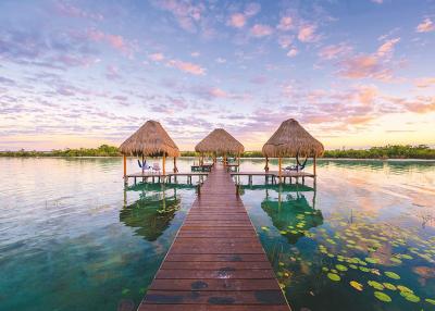 RAVENSBURGER Puzzle 1000 pi&egrave;ces : Vue sur les tropiques