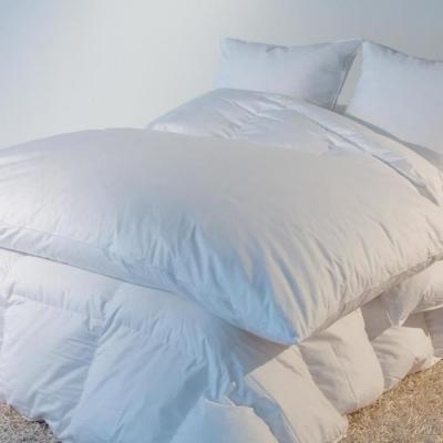 CASTEX COUETTES NATURELLES &Eacute;dredon naturel Eco Castex - 90x150cm blanc 30% duvet 