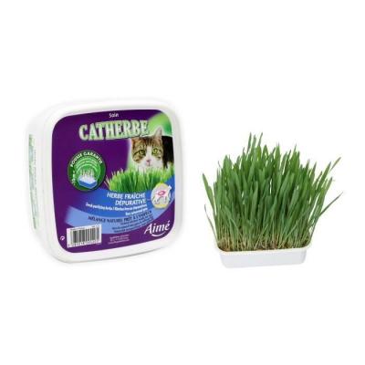 AIMé Bo&icirc;te d'herbe &agrave; chat, Aim&eacute; (x 1)