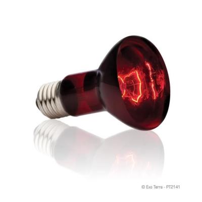 EXO TERRA Lampe pour terrarium  Basking Spot 150W