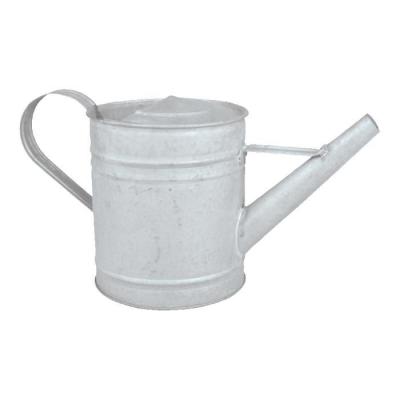 GENERIQUE Arrosoir ext&eacute;rieur - l 10,6 x l 22,8 x h 12,4 cm - zinc