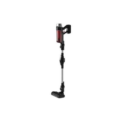 ROWENTA  Aspirateur balai sans fil X-Force Flex 9.60 mod&egrave;le animal - YY5466FE
