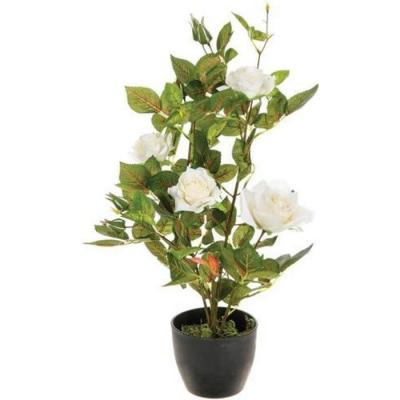 Atmosphera - Plante artificielle Rosier en pot H 50 cm - Blanc