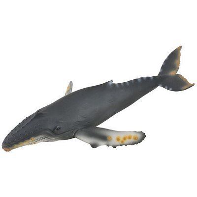 COLLECTA  - Col88347 - Baleine &Agrave; Bosse - Taille XL