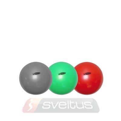SVELTUS  ballon de fitness 65 cm vert en bo&icirc;te