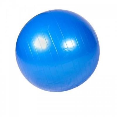 GORILLA SPORTS Swiss ball -  - Ballon de gym 65cm - Bleu - Fitness - Adulte
