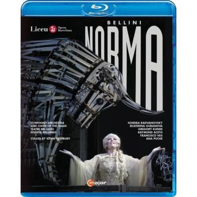Norma: Gran Teatre Del Liceu (Palumbo) [Region A] [Blu-ray]