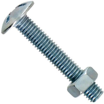 VYNEX Boulons po&ecirc;liers - acier zingu&eacute; - 8 x 100 mm - lot de 20