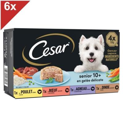 CESAR  24 Barquettes en gel&eacute;e 4 vari&eacute;t&eacute;s pour chien senior 150g (6x4)
