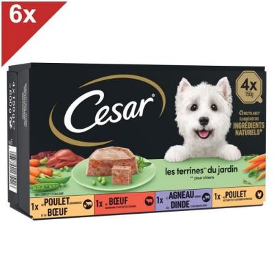 CESAR  24 Barquettes En Terrine 4 Vari&eacute;t&eacute;s Pour Chien 150g (6x4)