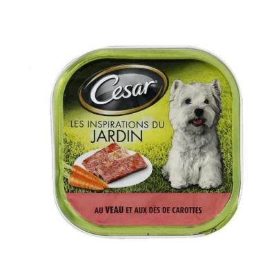 CESAR  Barquette De Terrine Au Veau Et Aux Carottes - Pour Chien - 300g (X20)