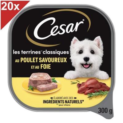 CESAR  Barquette En Terrine Au Poulet - Pour Chien Adulte - 300 G X20
