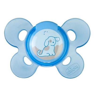 CHICCO  Physio Comfort 2-6 m t&eacute;tine Bear 1 pcs