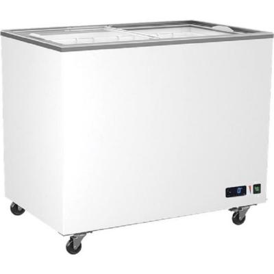 VIRTUS GROUP Cong&eacute;lateur Vitr&eacute;es Portes Coulissantes - 208 &agrave;&nbsp; 640 Litres - Virtus