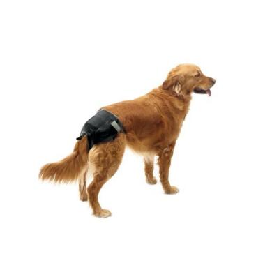 BOON Savic Comfort Nappy T5 42-62 Cm Disposable Dog Diaper 12 Units Clair