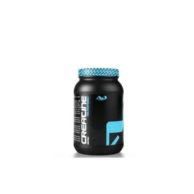 ADDICT SPORT NUTRITION Creatine monohydrate micronized (500g)