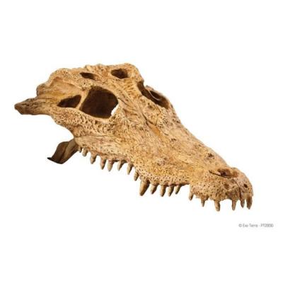 EXO TERRA Kit de d&eacute;coration cr&acirc;ne crocodile 