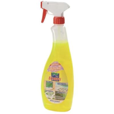 ECNESS  - D&eacute;crasse-tout multi-usages 750ml