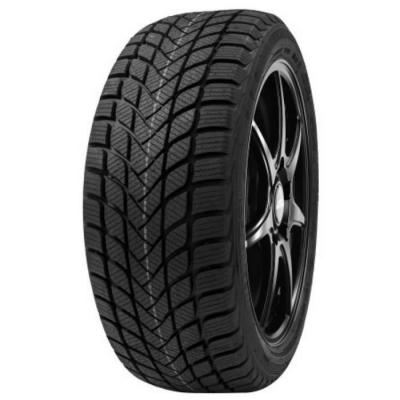 Pneu Delinte Winter WD6 205/55 R 17 95 H XL