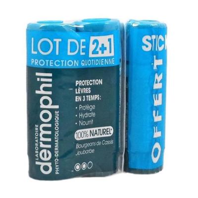DERMOPHIL INDIEN  Protection Quotidienne L&egrave;vres Lot de 3 x 4 g