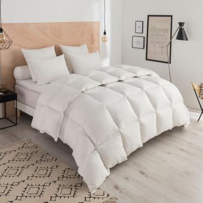 DODO Couette Thermoduv CHAUDE - 70% Duvet d'Oie - 140/200 -  - Blanc