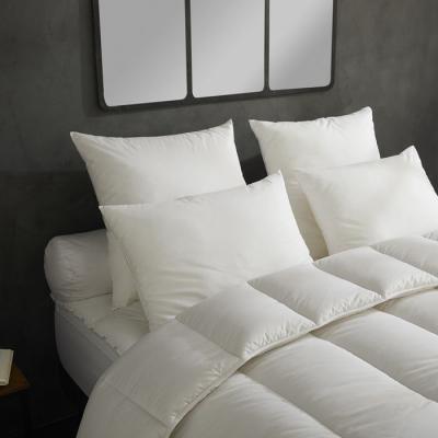 DODO  - Lot de 2 Oreillers Micro Douceur - Moelleux 60 x 60 cm Blanc