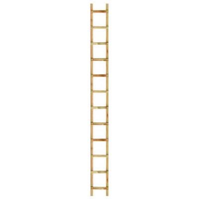 OUTIFRANCE Echelle bois de toit 24x25 6 00mstand 24echelons 25