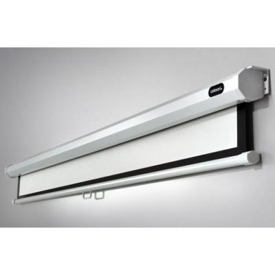 CELEXON Ecran projection  Manuel Economy 200x113