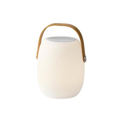 JARDIDECO Enceinte d'ext&eacute;rieur lumineuse LED portative connectivit&eacute; Bluetooth -